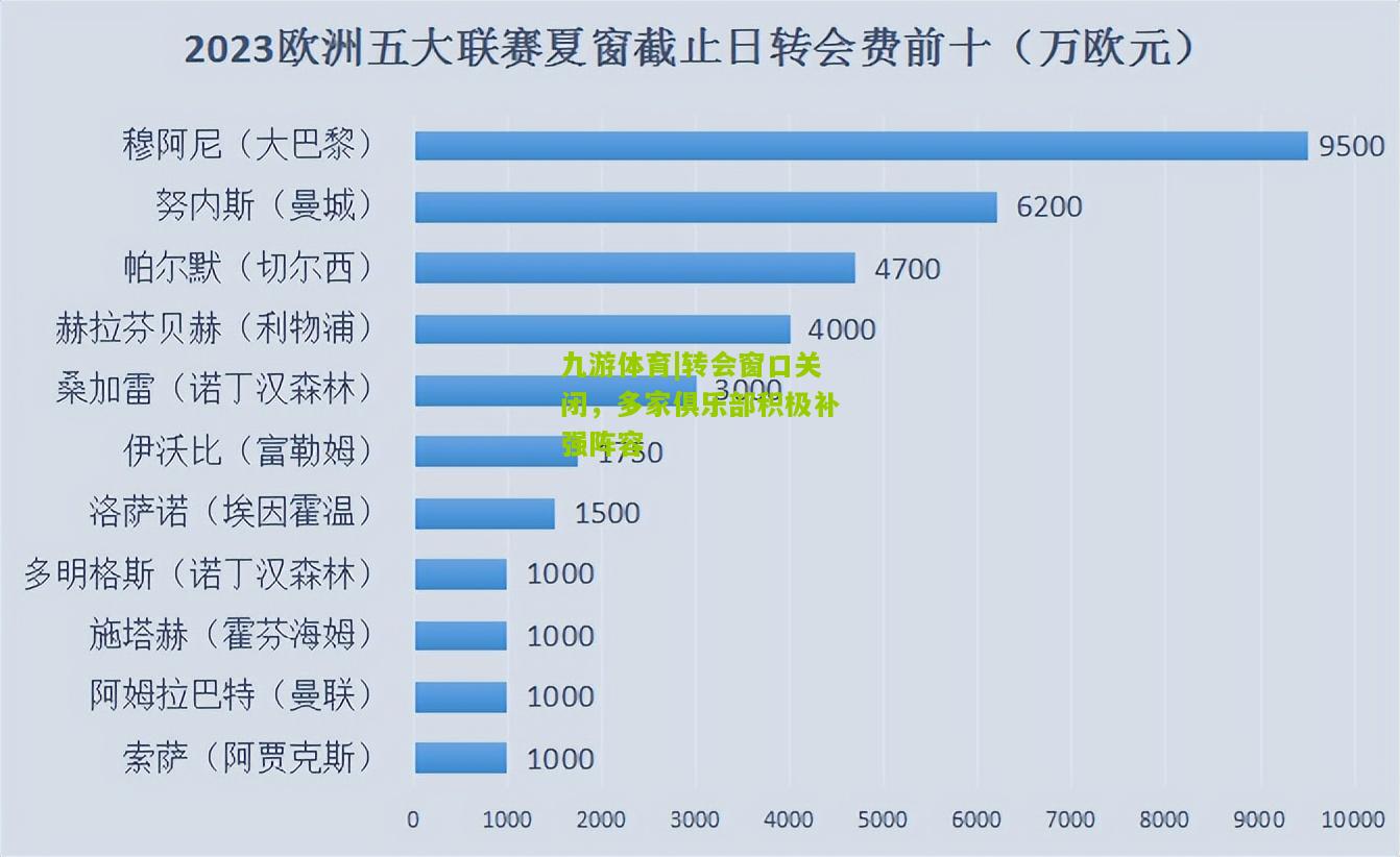 九游体育|转会窗口关闭，多家俱乐部积极补强阵容