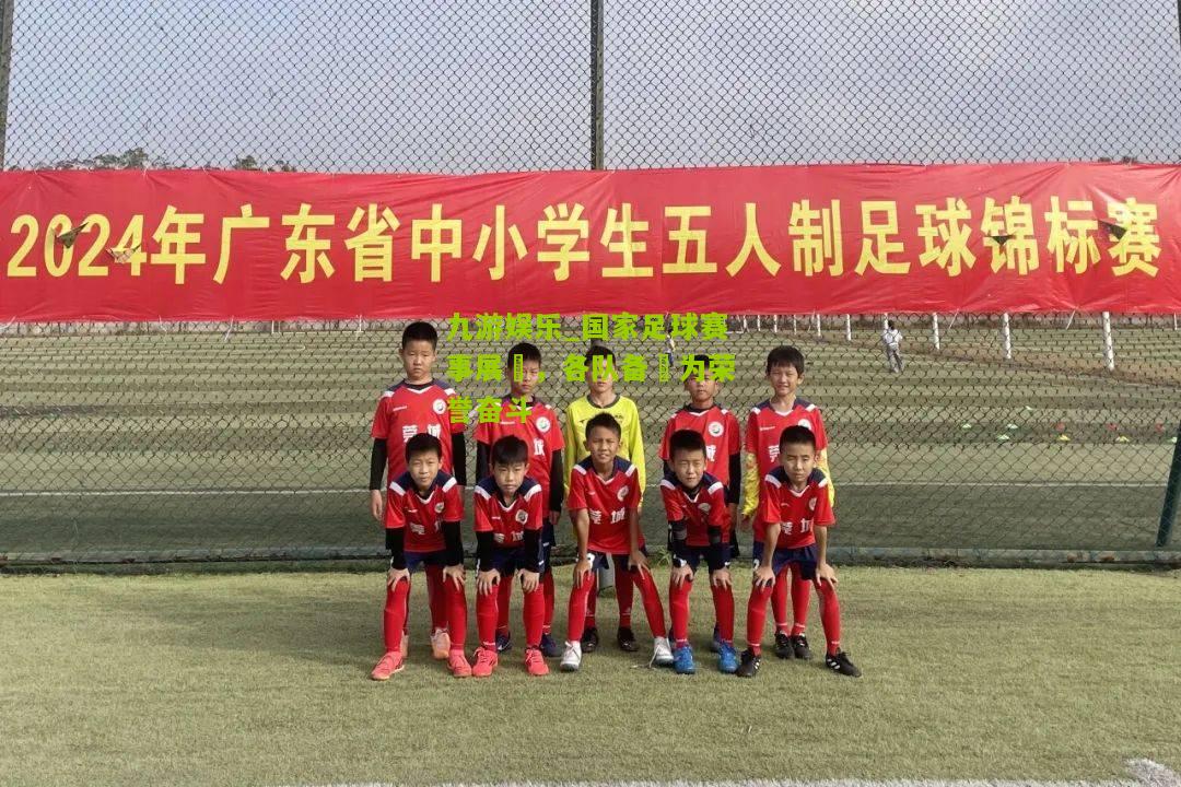 九游娱乐_国家足球赛事展開，各队备戰为荣誉奋斗
